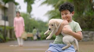 Dettol Original Soap Puppy  School Project  Assamese [upl. by Surtimed]