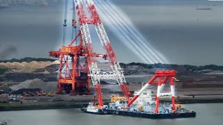 15 MOST Amazing Types of Cranes [upl. by Vogeley]