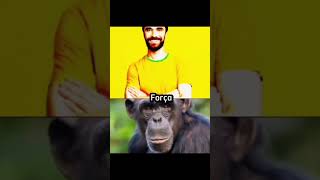 Brasileiro VS Chimpanzé [upl. by Ahtelra]