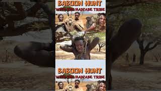 Hadzabe Baboon Hunt [upl. by Calendre]