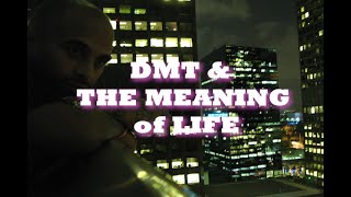 DMT amp The Meaning of Life [upl. by Areht]