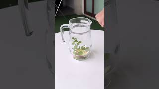 Delicious Detox Water Recipe for Weight Loss  7Day Infused Healthy Water Series [upl. by Ennair]