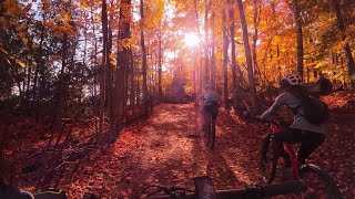 Quick view  Mountain biking Mono Cliffs \ The Autumn Colours shorts [upl. by Allehcim85]