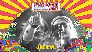 Jamrud LIVE  Synchronize Fest 2019 [upl. by Brynna]