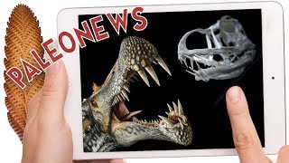 Paleonews ¿animales ediacaranos nuevo pterosaurio del desierto ¿podía flotar Spinosaurus [upl. by Niamjneb]