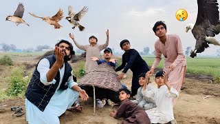 Trap Main Sparrows Phans gyen Magr……😍  Sikra Hen Ka Bacha La Giya 😢 [upl. by Lumbye222]