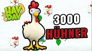 3400 HÜHNER 🐔 Hay Day Hühnertal ERKLÄRT [upl. by Burack]