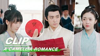 Clip Has Zhou Engaged Earlier  A Camellia Romance EP08  许纯纯的茶花运  iQiyi [upl. by Avid]