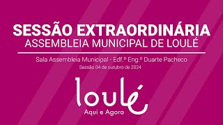 Sessão Extraordinária da Assembleia Municipal de Loulé [upl. by Annaert]