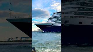 MS Rotterdam 🛳️⚓️like share comment subscribe cruiseship cruise vacation shorts short wow [upl. by Edge727]