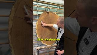 Aufbau des Baumes in 60 Sekunden wood handwerk shorts ausbildung [upl. by Eedahs]