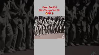 Deep Soulful MidTempo Vol 30 is going to be fire🔥 midtempo amapiano deepsoul soulful dj deep [upl. by Camille]