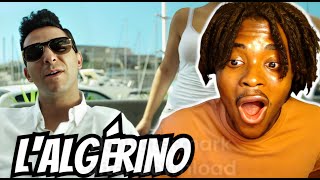 FIRST TIME REACTING TO LAlgérino  BRAVOOOO FRENCH RAP [upl. by Cj]