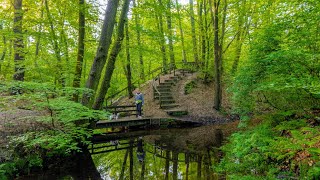 Hiking in Eerbeek  Gelderland  Netherlands [upl. by Papst784]