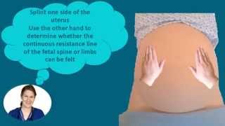 Abdominal Palpation Tutorial for Student Midwives [upl. by Gavra892]