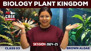 Plant Kingdom Brown Algae  Botany  Biology CBSE Class 11  By Khushboo maam  CBSE Connect [upl. by Chung]