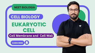 Eukaryotic Cell Cell membrane and Cell Wall [upl. by Atronna]