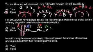 Antibodies and Antigens what the difference [upl. by Seely]