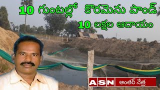 koramenu fish farming telugufish pondAntharnetra [upl. by Lunt]