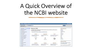 How to Use the NCBI’s Bioinformatics Tools and Databases [upl. by Lah199]