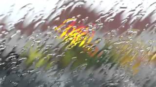 ♥♥ 8 Hours of Relaxing Sounds of Rain Falling on a Roof [upl. by Ettenom]