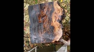 Clear Coat Wood Slab Time Lapse ✨ subscribe for more ✨ [upl. by Lydie]