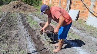 PLANTANDO BRÓCOLIS EM MINHA HORTA  Hortaliças Azeredo [upl. by Ybor]