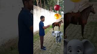 Balloon to elephant horse lion and tiger funny vfx bideo😁🤣। shorts viralvideo viralshorts [upl. by Ashlie158]