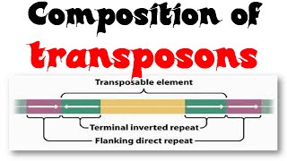 Composition of transposons [upl. by Annanhoj]