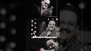 poonkodithaan poothathammaspb hitsIlayaraja hits oldsong lyrics [upl. by Enahsed]