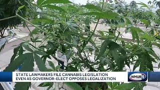 NH lawmakers file cannabis legislation even as Ayotte opposes legalization [upl. by Ettenawtna153]