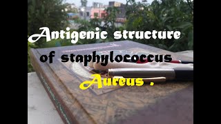 Antigenic structure of staphylococcus aureus M2  microbiology tutorials for medicos [upl. by Aydin]