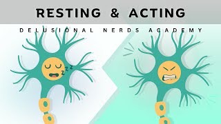 Resting vs Action Potential Simplified Explanation [upl. by Jehoash]