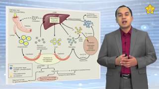 Elearning Metabolisme Lemak  Bagian 2 [upl. by Odnumde]