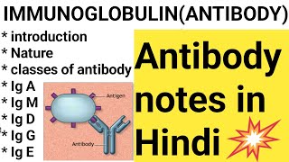 IMMUNOGLOBULIN notes in Hindi ANTIBODY Ig GIg MIg AIg D Ig E lecture in Hindiantibody notes [upl. by Acceb]