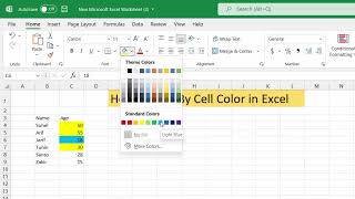 MS Excel  Sort By Cell Color [upl. by Arundell]