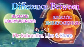 Difference Between Somatic amp Zygotic Embryogenesis [upl. by Einhapets]