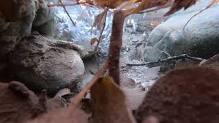 hike  Mission Creek  Kelowna BC Canada relaxing calming underwater views meditative [upl. by Ayotel]