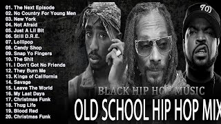 OLD SCHOOL HIP HOP MIX 🔥🔥🔥 Snoop Dogg Dr Dre Eminem The Game 50 Cent 2PAC DMX Lil Jon [upl. by Niklaus]