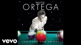 Palito Ortega  Hay Que Seguir Official Audio [upl. by Minton]