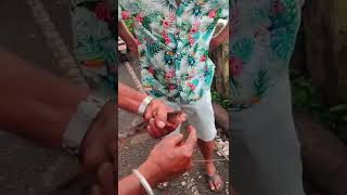 😥பழைய GOA மாறி இல்லைனு அவர் சொல்லறாரு 😪 shorts youtubeshorts ashortaday [upl. by Iztim]