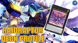 RAIDRAPTOR DECK PROFILE  NOVEMBRE 2024 [upl. by Leitnahs]