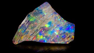 Polishing a opal fossil  Was it a bad idea [upl. by Blakelee]