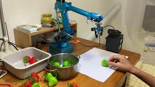 A demo of agriculture robot Robotic arm  Raspberry PI  Python  OpenCV [upl. by Bohlen939]