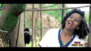 Ethiopia Mistre Manalimosh Dibo  Dimam Sew  NEW Ethiopian Music Video [upl. by Branscum68]