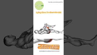 Title：3D Exercise Video Stretch Edition →Lying Knee To Chest Stretch [upl. by Pontone]