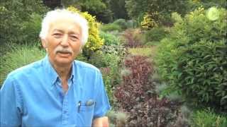 Tour of the Bressingham Gardens with Adrian Bloom [upl. by Anyg]