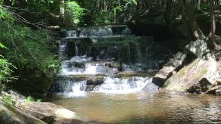 Pigeon Falls  Allegheny National Forest 2 [upl. by Eiznikam]