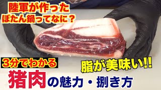 プロが教える 猪肉の魅力と捌き方 [upl. by Hole]