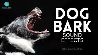 Dog Barking Sound Effect  Free Download [upl. by Nanfa532]